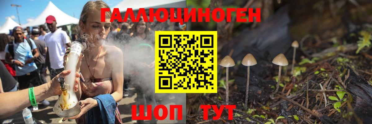 Реж  Псилоцибиновые грибы Cubensis  Вход с VPN 