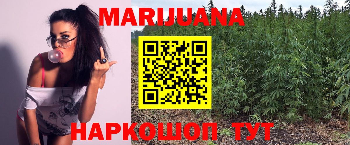 Конопля сатива Реж
